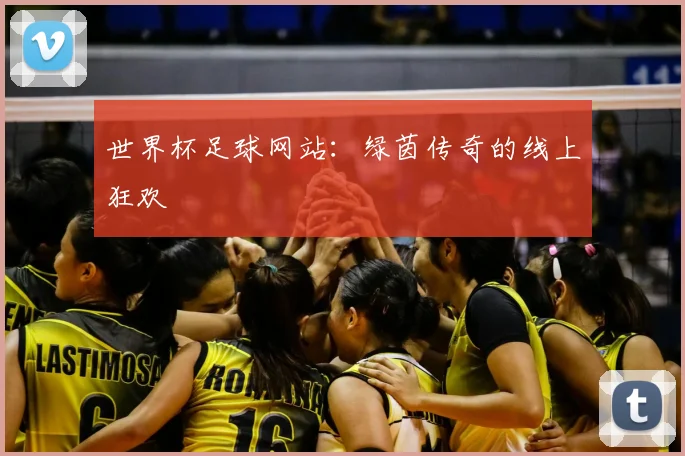 世界杯足球网站：绿茵传奇的线上狂欢