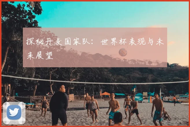 探秘丹麦国家队：世界杯表现与未来展望